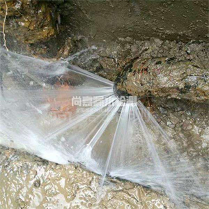 木鱼镇消防管道漏水检测